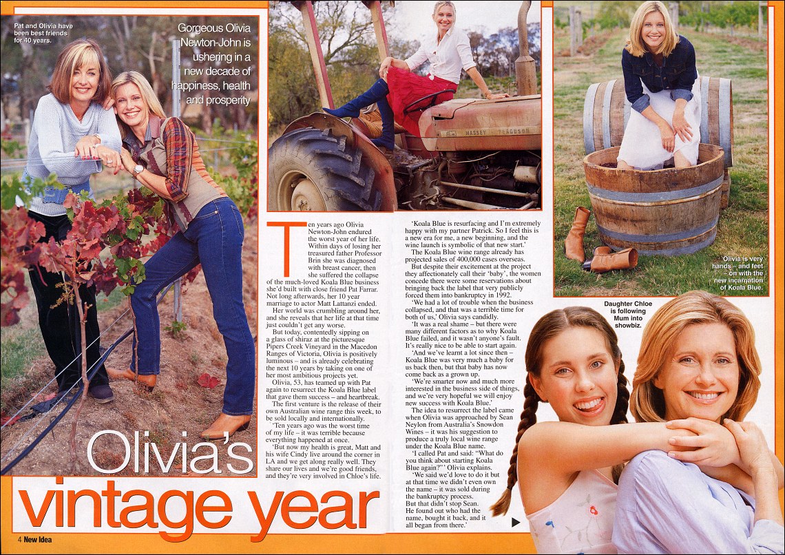 Olivia's Vintage Year - New Idea